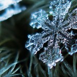 Macro Snowflake-1