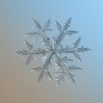 Macro Snowflake-10