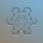 Macro Snowflake-11