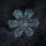 Macro Snowflake-16