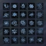 Macro Snowflake-18