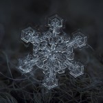 Macro Snowflake-19