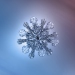 Macro Snowflake-3