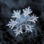 Macro Snowflake-4