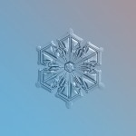 Macro Snowflake-5