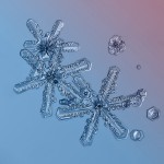 Macro Snowflake-6
