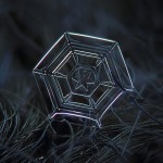 Macro Snowflake-8