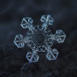 Macro Snowflake-9