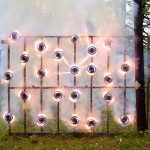 The Art of Smoke Bombs and Fireworks-2