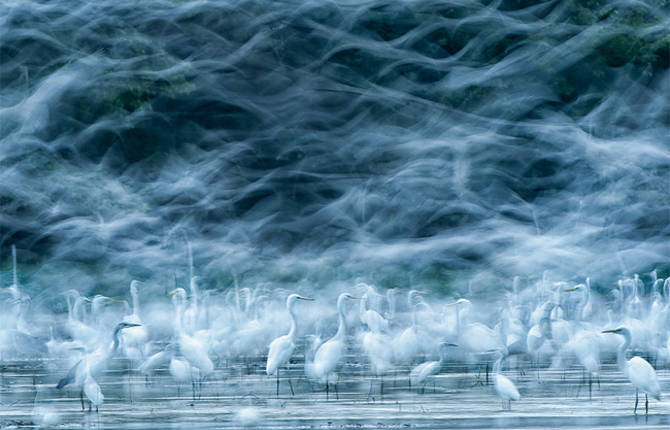 2013 National Geographic Contest Winners