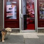 A man walks his dog past a vacant shop, with graphics pasted to the outside to make it look like working butchers shop, in the village of Belcoo, Northern Ireland