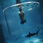 Vujicic, an Australian motivational speaker who was born without limbs, swims with sharks at the Marine Life Park in Singapore