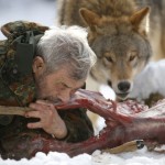 Wolf researcher Freund bites into deer cadaver next to Mongolian wolf at Wolfspark Werner Freund in Merzig