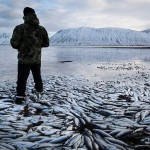 Associated Press Best Pictures 2013-37