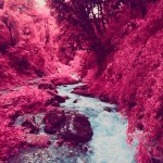 Infrared Photography of Nepal-1