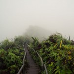 Stairway to Heaven in Hawaii4