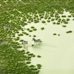 Aerial Photos of Botswana Wildlife-1