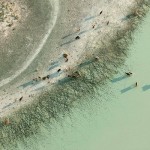 Aerial Photos of Botswana Wildlife-2