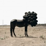 Andrea Galvani 7