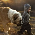 ChildhoodLovesAnimals4