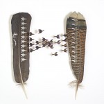 Feather Marvels by Chris Maynard5