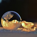 Frozen Bubbles Photography-1