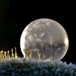 Frozen Bubbles Photography-3