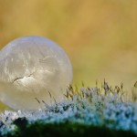Frozen Bubbles Photography-4