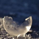 Frozen Bubbles Photography-8