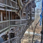 Inside the World's Biggest Tree House1