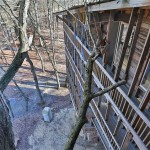 Inside the World's Biggest Tree House12