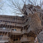 Inside the World's Biggest Tree House13