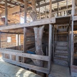 Inside the World's Biggest Tree House4