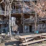 Inside the World's Biggest Tree House6