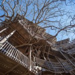 Inside the World's Biggest Tree House7