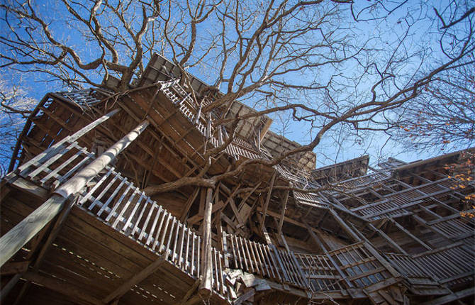 Inside the World’s Biggest Tree House