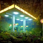 Landscape Photos by David Lachapelle 2