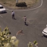 NZ Transport - Mistakes 4