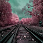 The Infrared Landscapes-2