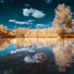 The Infrared Landscapes-5