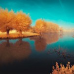 The Infrared Landscapes-6