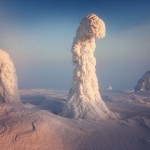 Trees Frozen in Subzero Temperatures2