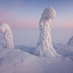 Trees Frozen in Subzero Temperatures6