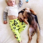 A Naptime Story with Dog and Baby-10