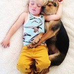 A Naptime Story with Dog and Baby-11