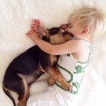 A Naptime Story with Dog and Baby-2