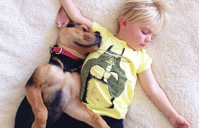 A Naptime Story with Dog and Baby