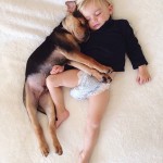 A Naptime Story with Dog and Baby-6