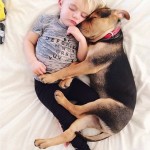 A Naptime Story with Dog and Baby-8