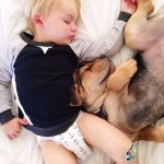 A Naptime Story with Dog and Baby-9